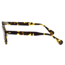 AR 46-22 Tokyo Tortoise