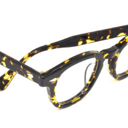 AR 46-22 Tokyo Tortoise