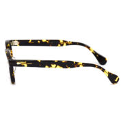 AR 44-22 Tokyo Tortoise