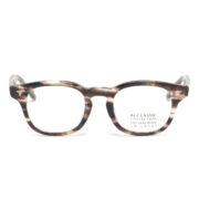 SHINBARI SH-P565 30T 46